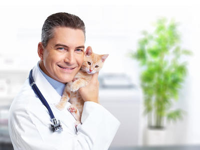 Vetcare Animal Clinic - Veterinary Clinics